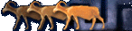 3dotnopr.gif (5171 bytes)