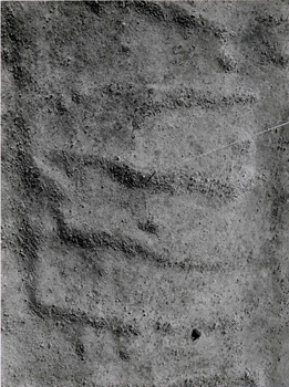 Fig. 14