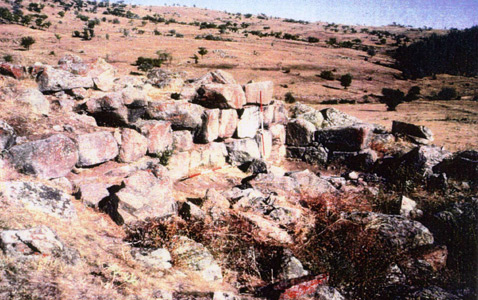 Figure 120